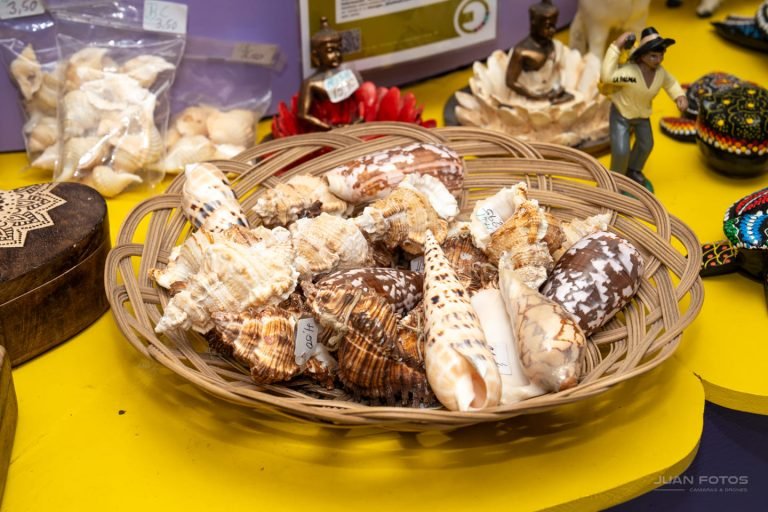 LaMargarita Canarias360.es (29)